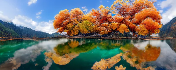 Schönes Panorama des Herbstlaubs im See. Herbstliche Waldseereflexion. Herbstwald spiegelt sich im Seewasser wider. 3D-Rendering © Viks_jin