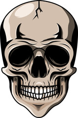 Fototapeta premium Skull head mascot