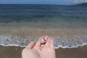 holding shell in hand design for