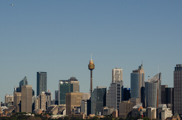 The Sydney Skyline 