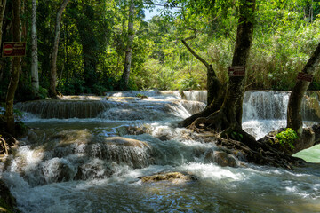 Kuang Si Waterfall, the most beautiful waterfall in Laos
