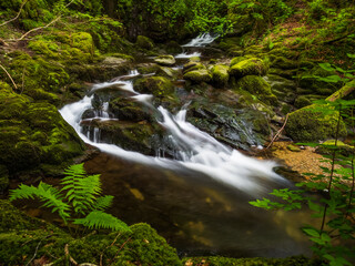 Obraz premium waterfall in the forest