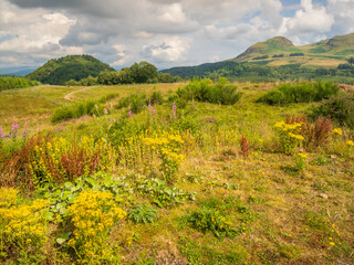 Fototapeta na wymiar landscape with sky, hills and flowers