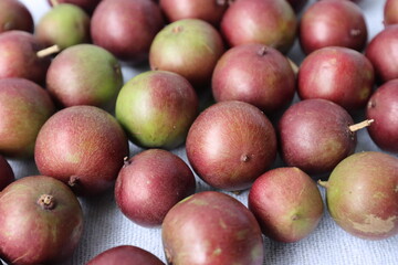 Flacourtia inermis, known commonly as lovi-lovi. Red Fruits