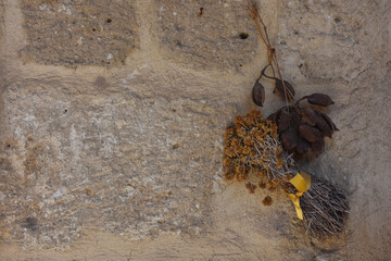 A bunch of Dried St. John's Wort flower  and dried leaves hung on an old stone wall. Autumn wallpaper