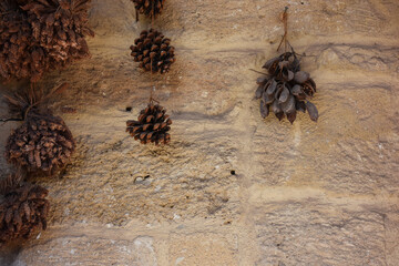 Dried pine cones hanging on an old stone wall. Christmas, winter and old house decorations. Autumn, Halloween concept. Copy space