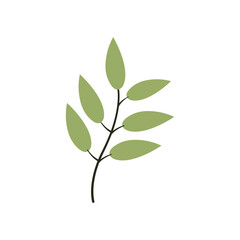 Simple leaf flat illustration for template elements