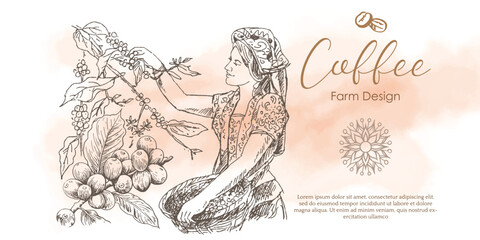 coffee picker of ink and watercolor illustration for label packaging design and advertising banner