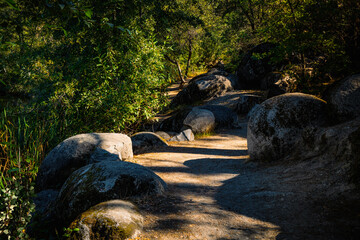 Peaceful autumn forest footpath with round boulders at Hirschman's Pond Trailhead in Nevada City, Northern California, a historical gold mining site.