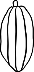 doodle freehand sketch drawing of cacao fruit.