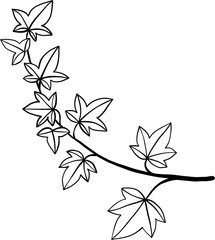 simplicity ivy freehand drawing.