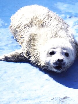 11ibsut22i7zom 11ibsut22i7zom