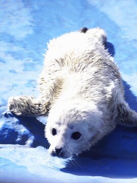 11ibsut22i7zom 11ibsut22i7zom