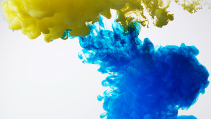 Abstract formed yellow blue color dissolving water. Abstract cloud ink swirling water. Royalty high-quality stock photo Acrylic ink underwater form, abstract smoke pattern isolated on white background