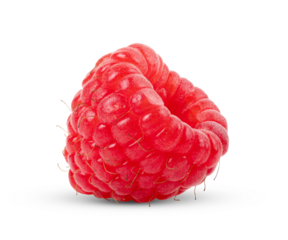 Solitary raspberry isolated on transparent png