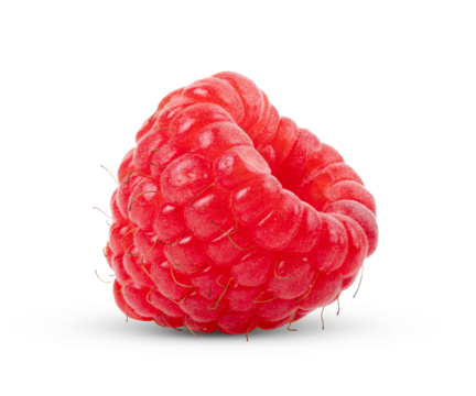 Solitary raspberry isolated on transparent png