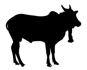 Indian culture Jallikattu cattle bull flat silhouette design vector. isolated on white.