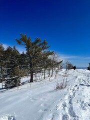 Snow on the Mountain