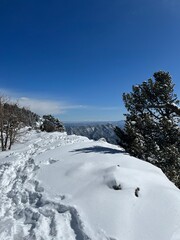 Snow on the Mountain