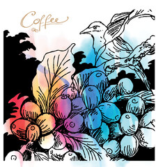 coffee bird and abstract background of water colour for banner, art print, wallpaper, poster, and presentation