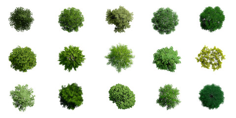 Collection of 3D Top view Green Trees Isolated on PNGs transparent background , Use for...