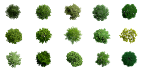 Collection of 3D Top view Green Trees Isolated on PNGs transparent background , Use for visualization in architectural design or garden decorate	
