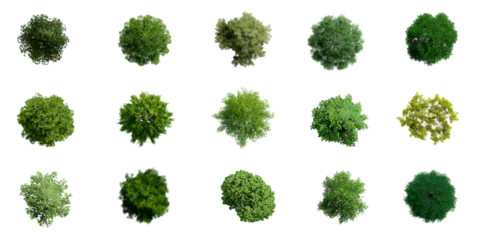  Collection of 3D Top view Green Trees Isolated on PNGs transparent background , Use for visualization in architectural design or garden decorate  © Keyframe's
