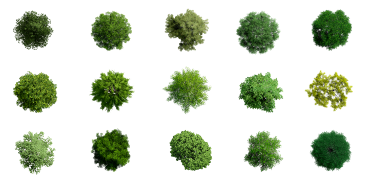 Collection of 3D Top view Green Trees Isolated on PNGs transparent background , Use for visualization in architectural design or garden decorate	
