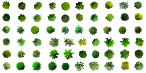 Collection of 3D Top view Green Trees Isolated on PNGs transparent background , Use for visualization in architectural design or garden decorate	