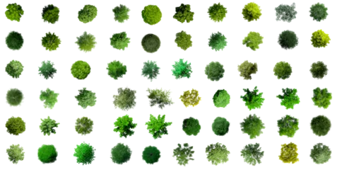 Gardinen Collection of 3D Top view Green Trees Isolated on PNGs transparent background , Use for visualization in architectural design or garden decorate  © Keyframe's