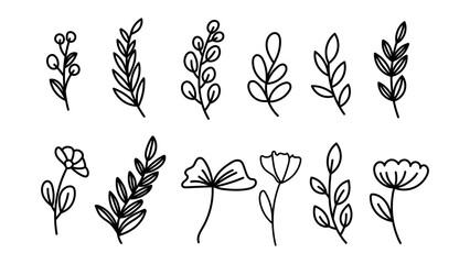 Set Leaves of many shapes hand drawn lines .isolated on white background ,Vector illustration EPS 10