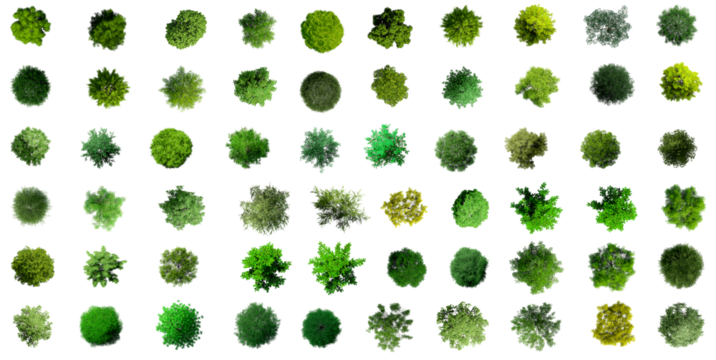 Collection of 3D Top view Green Trees Isolated on PNGs transparent background , Use for visualization in architectural design or garden decorate	