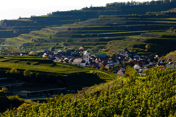 Oberbergen im Kaiserstuhl