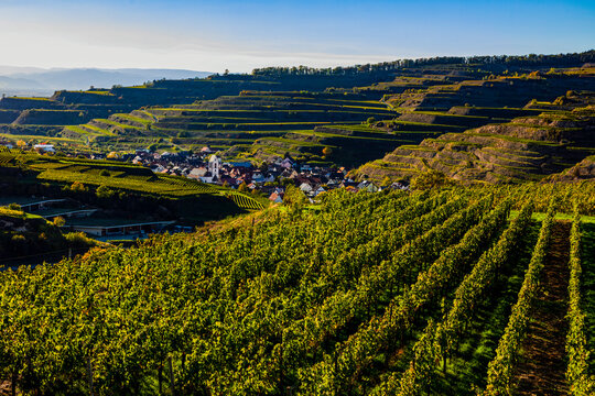 Oberbergen im Kaiserstuhl