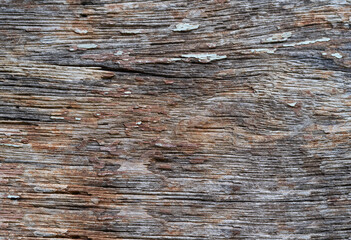 Wood texture background close up brown wood Rugged, beautiful patterns in a creative nature.