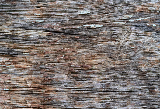 Old Wood Texture" Images – Browse 1,900 Stock Photos, Vectors, and Video |  Adobe Stock