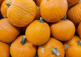 Ghost Rider pumpkins on a market display leading up to the Halloween holiday.
