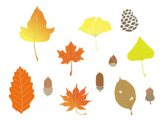 秋の落ち葉とどんぐりのイラスト（カラー）