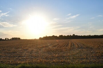 Sunset Over a Harvested Corn Field