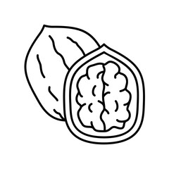 Walnut icon for healthy food in black outline style