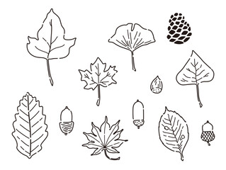 秋の落ち葉とどんぐりのイラスト（線画）