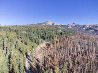 Lassen National Park from Above During the Day