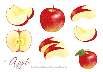 カットされた食べ頃のりんごの水彩画素材
