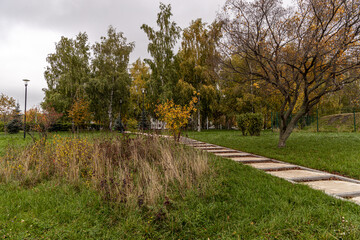 Fototapeta na wymiar Autumn Park. dried plants and yellow bushes