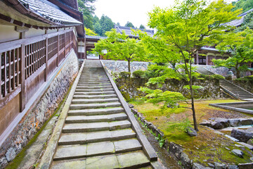 Eiheiji is a large temple complex and active monastery standing on a cedar covered slope in the mountains just outside Fukui City.