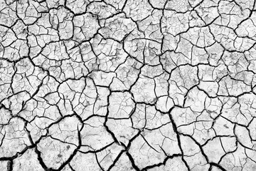 cracks on the ground desert white abstract background