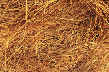 background texture straw yellow nature ornament