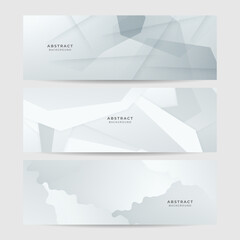 Fototapeta premium elegant abstract white banner background with shiny lines