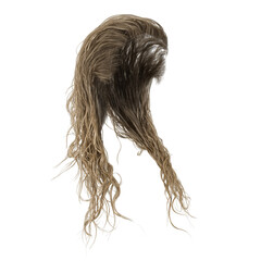 Wet long hair on isolated background, 3D render, 3D illustration