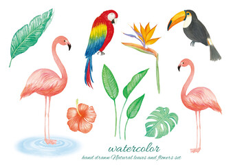 水彩手書きのフラミンゴと観葉植物のイラスト素材セット